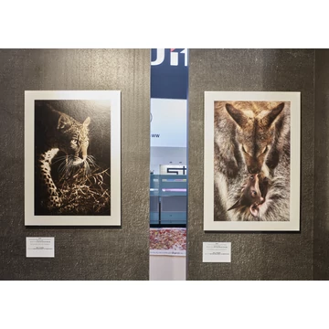 gudy 831 Fine Art smooth 30m x 0,9cm