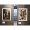 gudy 831 Fine Art smooth 30m x 1,9cm
