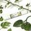 filmolux libre organic 25mx3cm